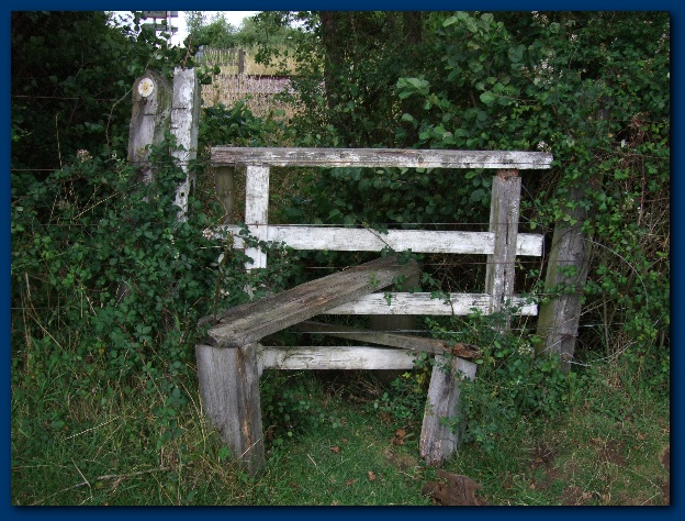 600x449 pixels (182K)